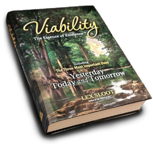 Viability: The Essence of Existence